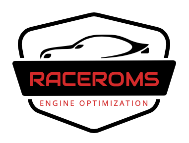 Raceroms File Portal Logo